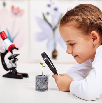 Young student studies small plant Mädchen untersucht eine Pflanze mit einer Lupe